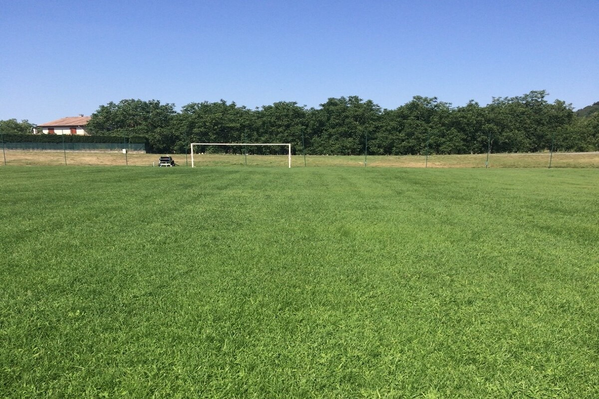 Régénération terrain d'honneur stade foot