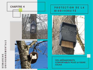 RSE Environnement Biodiversité Aménagement
