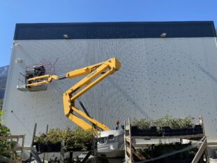 Toutenvert - Fresque murale - Agence Veurey-Voroize4