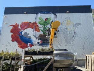 Toutenvert - Fresque murale - Agence Veurey-Voroize3