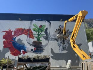 Toutenvert - Fresque murale - Agence Veurey-Voroize1