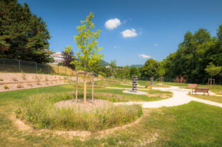 Chantier cimetière animalier - Voiron - Toutenvert