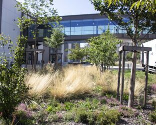 Toutenvert - Aménagementns - Grand place - Grenoble