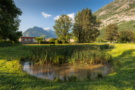 Lien vers génie écologique