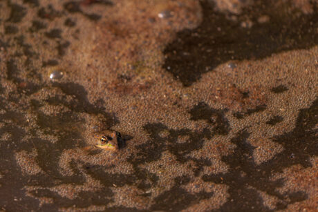 Lien vers Parc multisports et aires de jeux